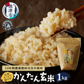 【ふるさと納税】 玄米 お米 ごはん 無農薬 肥料不使用 1kg かんたん玄米 焼津 a13-080