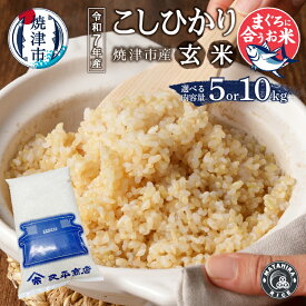 【ふるさと納税】 【選べる内容量】 米 玄米 コシヒカリ 令和7年産 5kg 10kg（5kg×2袋） 老舗米屋 厳選 焼津のマグロによく合う ごはん 焼津 a13-129 a26-030