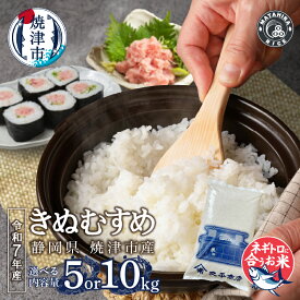 【ふるさと納税】 【選べる内容量】 令和7年産 米 白米 きぬむすめ 5kg 10kg（5kg×2袋） 老舗米屋 ネギトロに合う ごはん 焼津 a13-130 a26-031