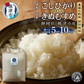 【ふるさと納税】 【選べる内容量】 令和7年産 米 白米 コシヒカリ きぬむすめ 5kg 10kg（5kg×2袋） 農薬5割減 特別栽培 安心 安全 こだわり 減農薬 ごはん 焼津 a14-119 a28-028
