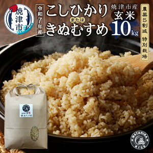 yӂ邳Ɣ[Łz yIׂeʁz ߘa7NY   RVqJ ʂނ 5kg 10kgi5kg×2܁j _5 ʍ͔| S S  _ ͂ Ē a18-099