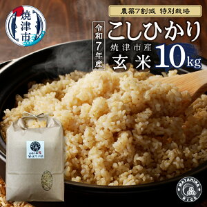 yӂ邳Ɣ[Łz yIׂeʁz  V ߘa7NY  RVqJ 5kg 10kgi5kg×2܁j _7 ʍ͔| S S ͂ Ē a20-453