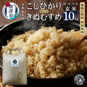 yӂ邳Ɣ[Łz ߘa6NY ʌ   RVqJ ʂނ 10kg (5kg×2) _5 ʍ͔| S S  _ ͂ Ē a44-008