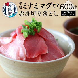 【ふるさと納税】 まぐろ マグロ 鮪 天然 南鮪 赤身 600g以上 切り落とし 小分け パック 添加物不使用 魚 焼津 a10-952