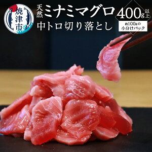 yӂ邳Ɣ[Łz ܂ VR 얎 g 400gȏ ؂藎Ƃ  pbN Ysgp  Ē a12-168