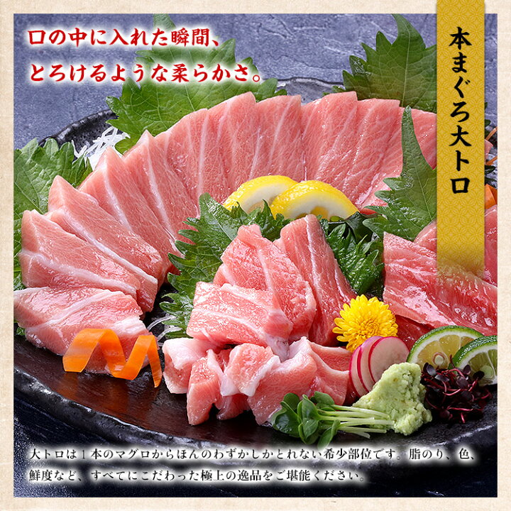 天然南鮪 大トロ 中トロ 赤身セット