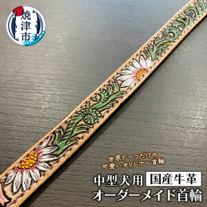 yӂ邳Ɣ[Łz  ^  IWi kv tI[_[ i`     xmR a61-001