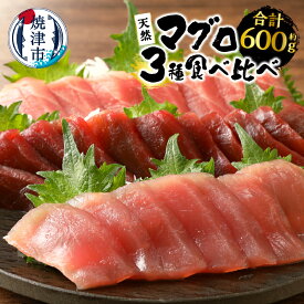 【ふるさと納税】 まぐろ 冷凍 魚 焼津 赤身 3種 天然 南鮪 鉢鮪 黄肌鮪 食べ比べセット 計約600g 刺身に 寿司に 丼に a22-034