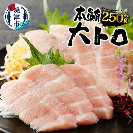 【ふるさと納税】 まぐろ 冷凍 魚 焼津 大トロ 本マグロ 柵 約250g 刺身に 寿司に 海鮮丼に a20-373