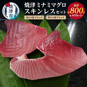 yӂ邳Ɣ[Łz ܂  g g ubN hg ~i~}O XLXZbg 800g  Ē iECN a31-011