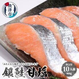【ふるさと納税】 鮭 銀鮭 切り身 魚 冷凍 焼津 甘塩 80g×10パック 個包装 真空パック a10-1008