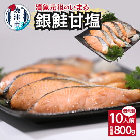 【ふるさと納税】 鮭 銀鮭 切り身 魚 冷凍 焼津 甘塩 80g×10パック 個包装 真空パック a10-1008