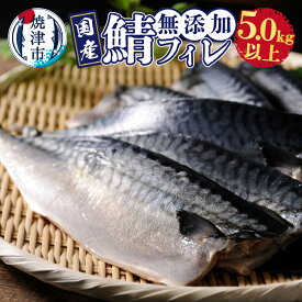 【ふるさと納税】 さば 鯖 フィレ 国内産 熟成 無添加 天然 魚 焼津 無塩 5.0kg以上 a24-033