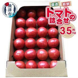 【ふるさと納税】 トマト 詰合せ 約3.5kg 野菜 農園直送 新鮮 青果 焼津 a11-120