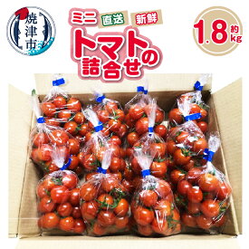 【ふるさと納税】 ミニトマト 詰合せ 約1.8kg 野菜 青果 農園直送 新鮮 焼津 a11-122