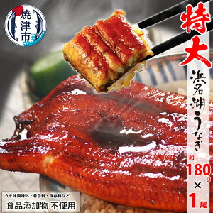 yӂ邳Ɣ[Łz Ȃ   HiYsgp lΎY 180g×1 RE^t ϔ Ē a10-1044