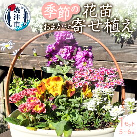 【ふるさと納税】 花 生花 花苗 草花 バスケット 1セット おまかせ 季節の花苗 寄せ植え 焼津 a10-1174