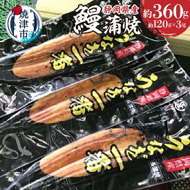【ふるさと納税】 鰻 うなぎ 蒲焼 魚 冷凍 約120g×3尾 焼津 静岡うなぎ 漁協 長焼 セット たれ・山椒付き a20-129