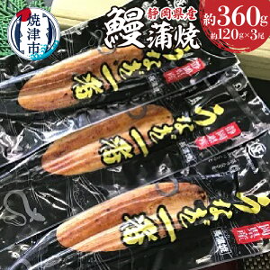 yӂ邳Ɣ[Łz V Ȃ   Ⓚ 120g×3 Ē ÉȂ   Zbg ERt a20-129