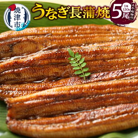 【ふるさと納税】 うなぎ 国産 たれ付き 山椒付き 長蒲焼 120g×5尾 吸物×5 セット おかず 冷凍 焼津 a30-307