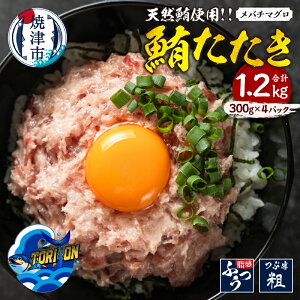 yӂ邳Ɣ[Łz lMg  ڔ VR 300g×4pbN Ⓚ   Ē ʌ a10-1217