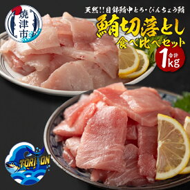 【ふるさと納税】 まぐろ 目鉢鮪 中とろ 400g びんちょう鮪 600g セット 食べ比べ 合計1kg 魚 冷凍 焼津 a10-1219