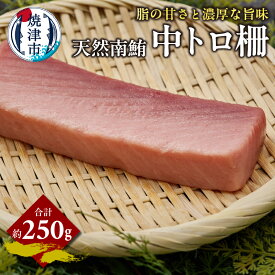 【ふるさと納税】 まぐろ 天然 南まぐろ 中トロ 柵 約250g 醤油付 魚 冷凍 焼津 a14-111