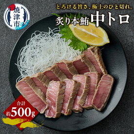 【ふるさと納税】 マグロ 中トロ 炙り 本鮪 約500g 極上 厳選 冷凍 焼津 a15-678