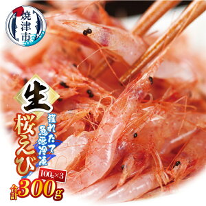 �y�ӂ邳�Ɣ[�Łz �������� 100g×3�p�b�N ���v300g �V�R �V�N �Ⓚ �Ē� a10-1249