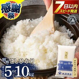 【ふるさと納税】 7日以内発送！ こしひかり 令和7年産 【選べる内容量】 米 白米 5kg 10kg 1袋 5Kg×2 ごはん 老舗 米屋 ツヤ 香り 粘り 精米したて 別格 焼津 静岡 コシヒカリ a07-176 a13-170