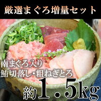 焼津市ふるさと納税|まぐろ