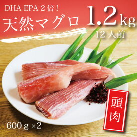 【ふるさと納税】まぐろ 頭肉 セット 計1.2kg 天然 魚 冷凍 焼津 a10-098