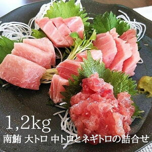yӂ邳Ɣ[Łz ܂ g g lMg Ԑg CN i hg VR얎̋l 1.2kg  Ē a30-228