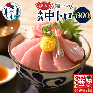 yӂ邳Ɣ[Łz y͂Iׂz 󂠂 ܂ hg {}O g  Ⓚ Ē 800g Iׂ邨͂ p a21-065