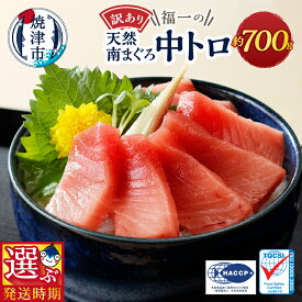 【ふるさと納税】 【お届け時期が選べる】 訳あり まぐろ 刺身 中トロ 天然 ミナミマグロ 切り落とし 約700g 選べるお届け月 焼津 魚 冷凍 a10-1000