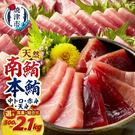 【ふるさと納税】 マグロ 南マグロ 本マグロ 天然 【選べるお届け時期/種類】 南鮪 本鮪 まぐろ 鮪 赤身 中トロ 訳あり 正規品 刺身 切り落とし 柵 700g 1.4kg 2.1kg 食べ比べ 540g 720g 1080g 天身 500g 魚 冷凍 贅沢 高評価 a18-110