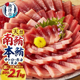 【ふるさと納税】 マグロ 南マグロ 本マグロ 天然 【選べるお届け時期/種類】 南鮪 本鮪 まぐろ 鮪 赤身 中トロ 訳あり 正規品 刺身 切り落とし 柵 700g 1.4kg 2.1kg 食べ比べ 540g 720g 1080g 天身 500g 1kg 魚 冷凍 贅沢 高評価 a15-719