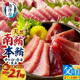 【ふるさと納税】 マグロ 南マグロ 本マグロ 訳あり 正規品 【選べるお届け時期/種類】 天然 南鮪 本鮪 まぐろ 鮪 赤身 中トロ 刺身 切り落とし 柵 700g 1.4kg 2.1kg 食べ比べ 540g 720g 1080g 天身 500g 魚 冷凍 贅沢 高評価 《 レビューキャンペーン 》 父の日 a18-110
