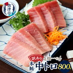  【発送時期が選べる】 訳あり まぐろ 刺身 本マグロ 中トロ 魚 冷凍 焼津 約800g 選べるお届け月 ご自宅用 a15-587