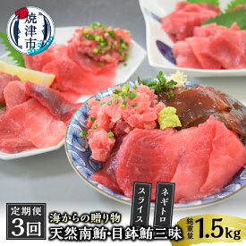 【ふるさと納税】 定期便 まぐろ ネギトロ 冷凍 魚 焼津 海からの贈り物 天然 鮪 三昧 南鮪 目鉢鮪 3回 お届け 【定期便 3回】 a30-232