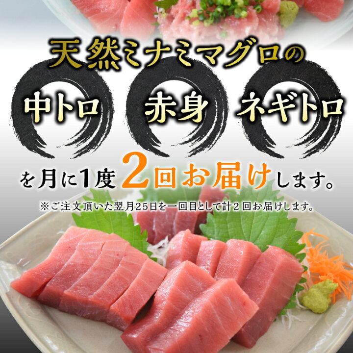 23100円 少し豊富な贈り物 ふるさと納税 焼津市 マグロ 天然 南鮪 大トロ中トロ 赤身 セット 1.2kg a35-009 23100円 少し豊富な贈り物 ふるさと納税 焼津市 マグロ 天然 南鮪 大トロ中トロ 赤身 セット 1.2kg a35-009