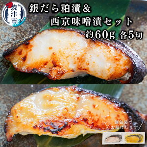 yӂ邳Ɣ[Łz ₾ Ђ Ђ  Ⓚ Ē 60g×e5 L  XЂ т̂ ̂ a10-849