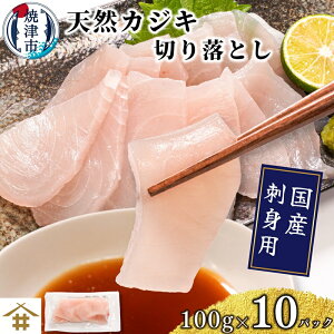 yӂ邳Ɣ[Łz  NJWL ؗ 100g×10pbN hg VR   Ⓚ Ē a10-1162