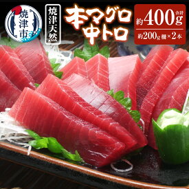 【ふるさと納税】 まぐろ 魚 天然 本マグロ 中トロ 数量限定 冷凍 4人前 約200g×2本 焼津 静岡 a30-270