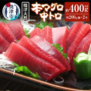 yӂ邳Ɣ[Łz ܂  VR {}O g ʌ Ⓚ 4lO 200g×2{ Ē É a30-270