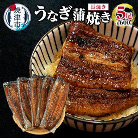 【ふるさと納税】 うなぎ 鰻 魚 蒲焼き 長焼き 5尾 約 600g 焼津 a30-244