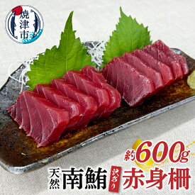 【ふるさと納税】 訳あり まぐろ 天然 南鮪 赤身 約600g 不定型柵 魚 冷凍 焼津 a10-858