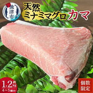 yӂ邳Ɣ[Łz ܂  VR ~i~}O J} 󏭕 J}g 1.2kg  Ē a12-196