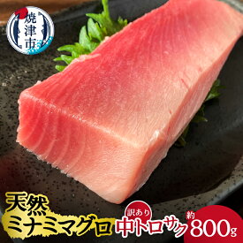 【ふるさと納税】 まぐろ 中トロ サク 刺身 寿司 海鮮丼 天然 ミナミマグロ 訳あり 約800g 魚 焼津 a20-327