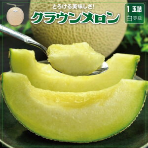 yӂ邳Ɣ[ŁzyZȊÂ!zNE()1.0kg@1ʁ@MtgyzsnFEkCEꌧzy1104230z